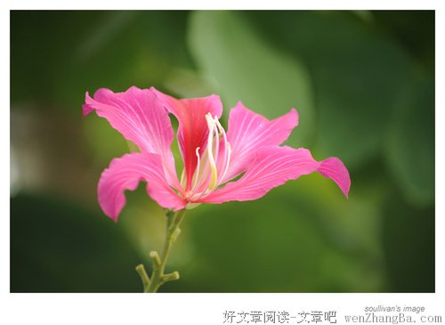 从说话看一个人的人品