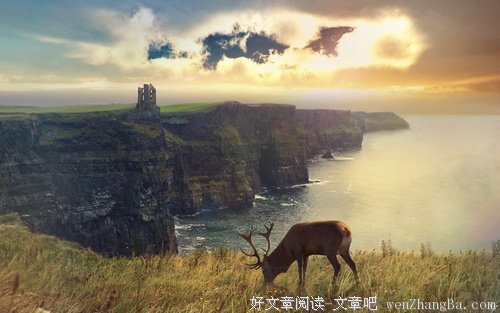 有感于懒蛤蟆整容