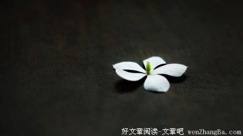 在不被人注意的角落起飞