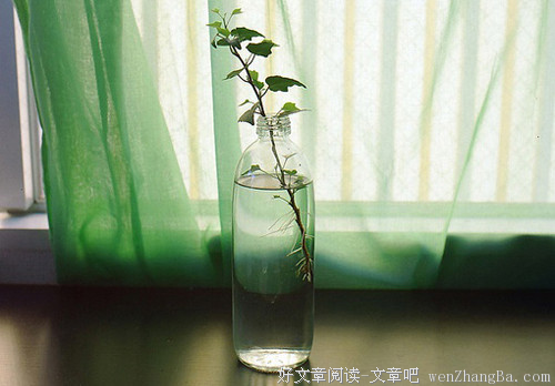 生活是一只看不见的储蓄罐，你投入的每一份努力都不会白费