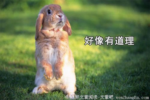 有趣，才是一辈子的春药！