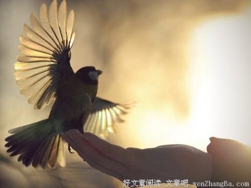 你的第二身份是什么 ? (深度好文)