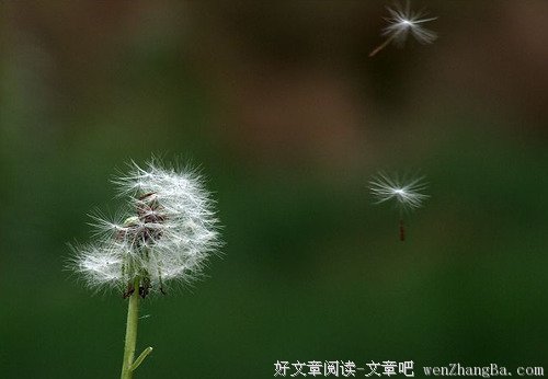 2016年最佳小小说：《多余的一句话》