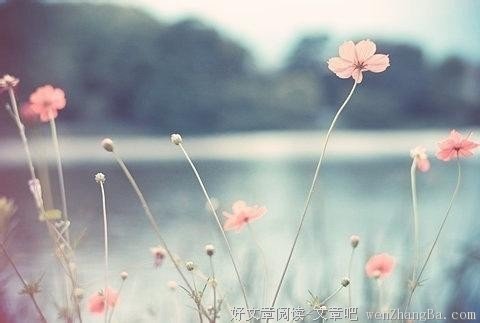 你的善良需要有点锋芒