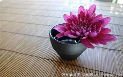 这才是最狠的报复！