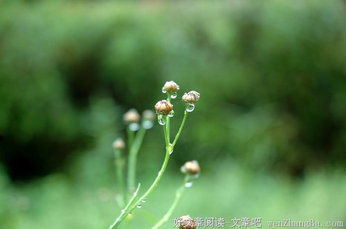 人生中那些闪光的诱惑