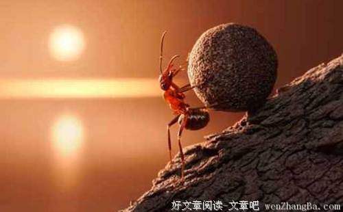 “第二”的价值