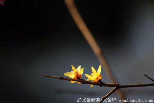 人生99%的痛苦，源于你跟自己过不去