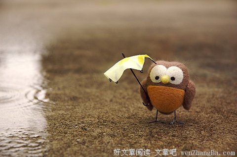 我们最不该委屈的是自己的情绪