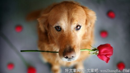 你单身那么久，一定是因为太挑了吧