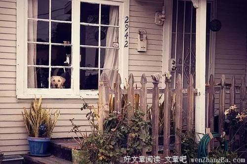 你为什么活的焦躁且拧巴?