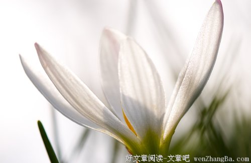 从背面做起