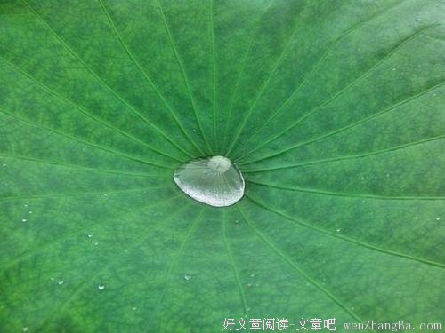 真正的快乐源自面对真实的自己