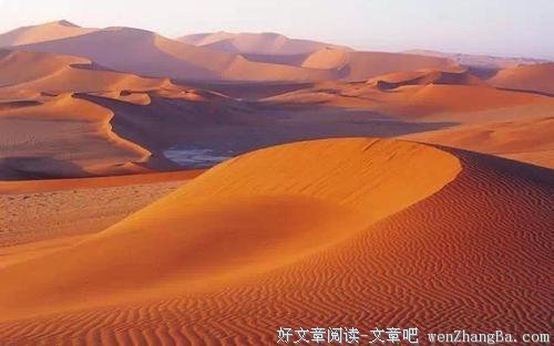 善良，就是后路！