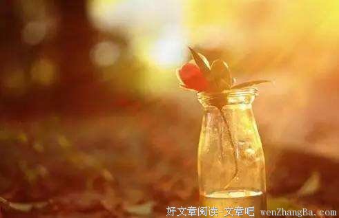 层次越高的人 朋友圈越有趣
