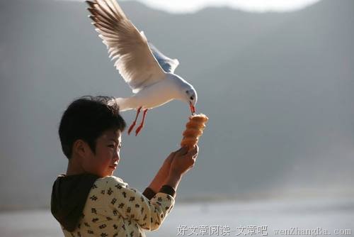 可以发红包解决的事，别用人情