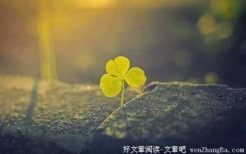 不让人难堪，这是做人基本的慈悲心