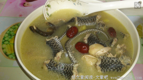 救命蛇汤