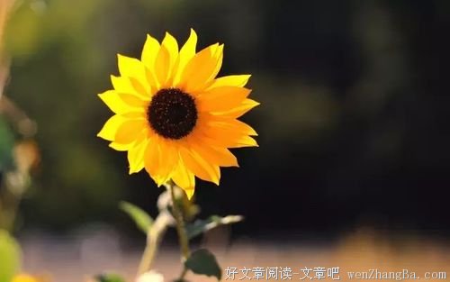 不敢晒的才是真幸福