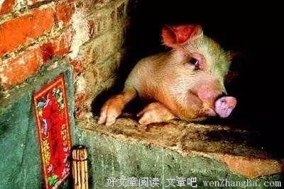 描写事不关己的经典句子