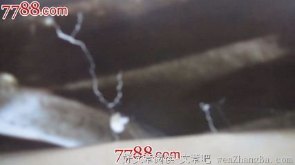 最全的《刺陵》经典语句
