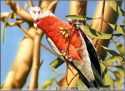经典心理学、越在乎，越卑微！