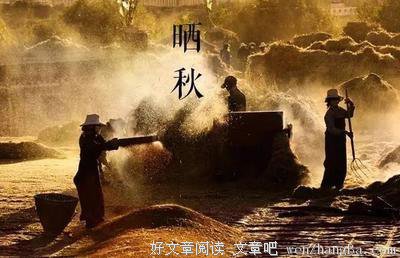 棉铃虫的生活