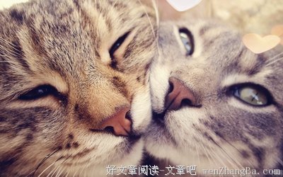 痛苦不专属于一个人