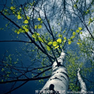 最全的托马斯·特兰斯特勒默经典句子