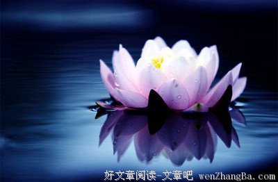 十二种让我们无可奈何的寂寞