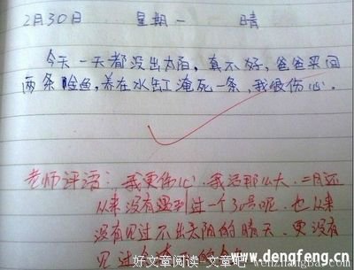 描写六六的经典句子