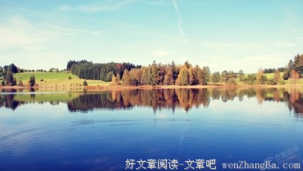 享受精彩，世界杯大预测