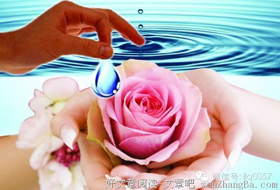 记住这26条,做一个快乐面对生活的人!