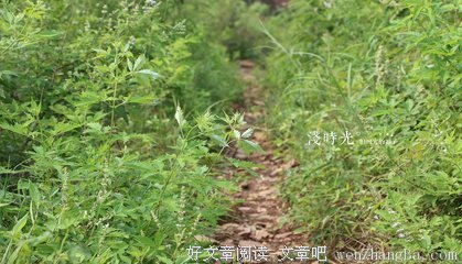 时光里的影子