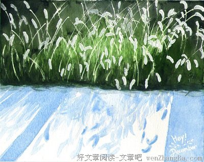 最经典的《天生凉薄》经典语录
