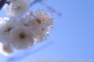 最新的明前雨后的名言名句