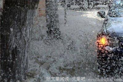 风中柳絮飘