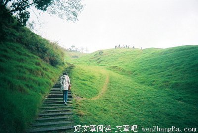 无法计算价值的爱