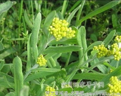 想起那山那水和那月