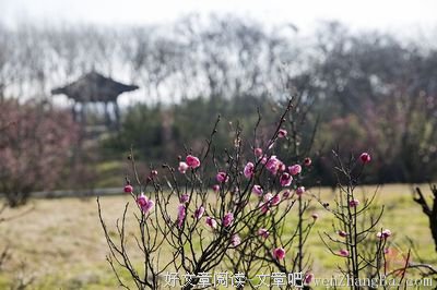 季节的风在岁月里低吟浅唱