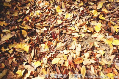 感谢你来过