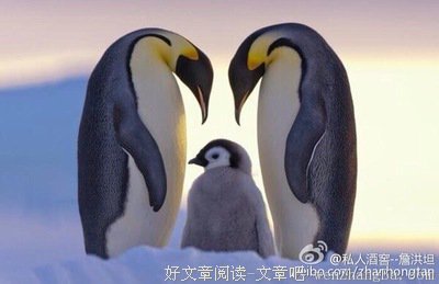 夫妻如筷、相互依赖！
