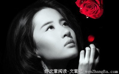 最全的《红颜露水》小说句子大全