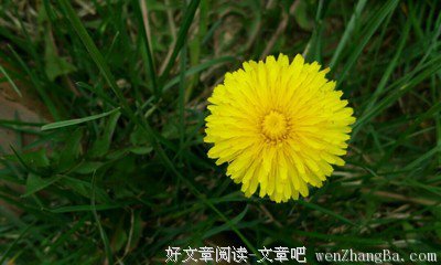 我怀念的