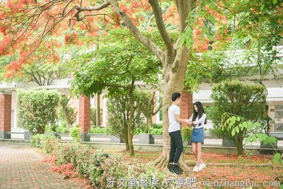 青春，仅是一朵花开的时间