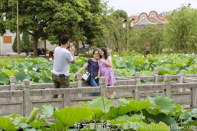永不消失的暗香