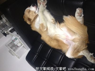 越叫越走