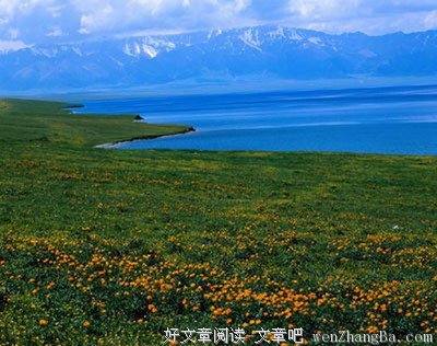 露珠的冥想