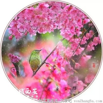 人生是崎岖的