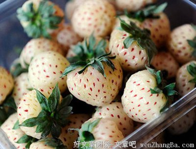 关于自言自语的唯美句子